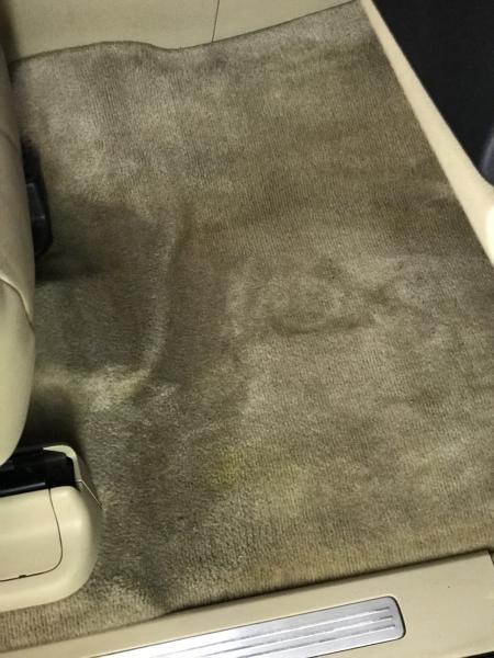 carpets after removing most dirt and soil